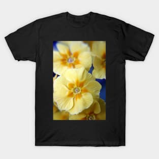 Yellow Primula Flowers T-Shirt